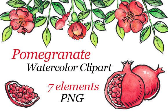 Watercolor Pomegranate Clipart PNG Guide